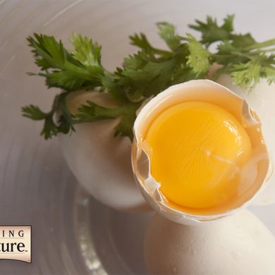 Here’s Egg In Your Eye